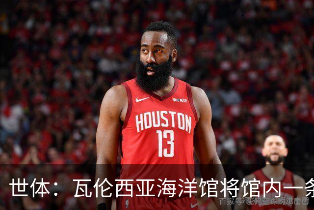 世体：瓦伦西亚海洋馆将馆内一条鲨鱼命名为费兰-托雷斯
