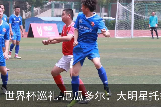 世界杯巡礼-厄瓜多尔：大明星托举小角色，高原雄鹰前景可期！