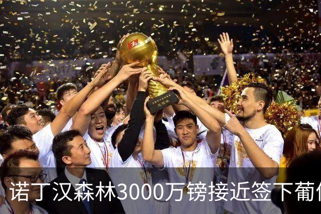 诺丁汉森林3000万镑接近签下葡体铁卫迪奥曼德