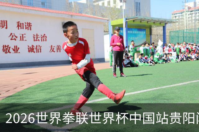 2026世界拳联世界杯中国站贵阳闭幕 中国队五名选手夺得冠军